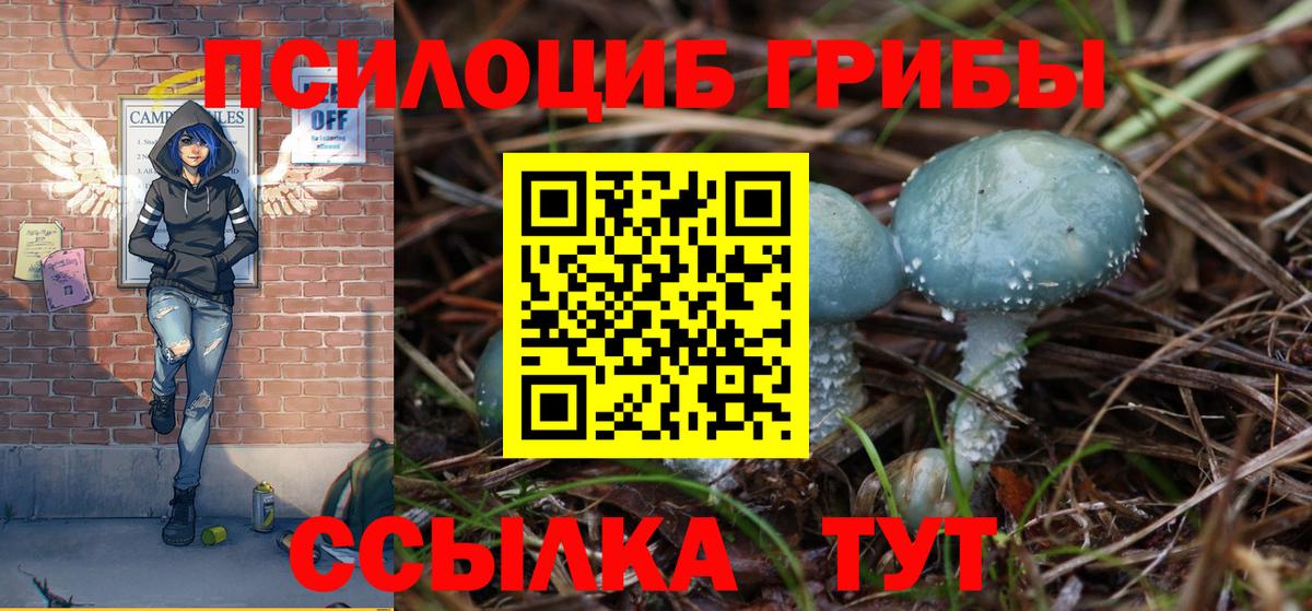 Галлюциногенные грибы MAGIC MUSHROOMS  Вход с VPN  Вязники 
